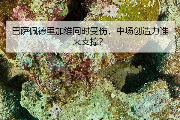 ba-sa-pei-de-li-jia-wei-tong-shi-shou-shang-zhong-chang-chuang-zao-li-shui-lai-zhi-cheng-2-468.jpg