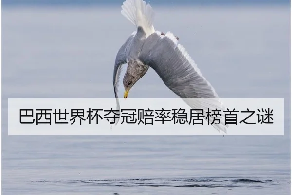 巴西世界杯夺冠赔率稳居榜首之谜